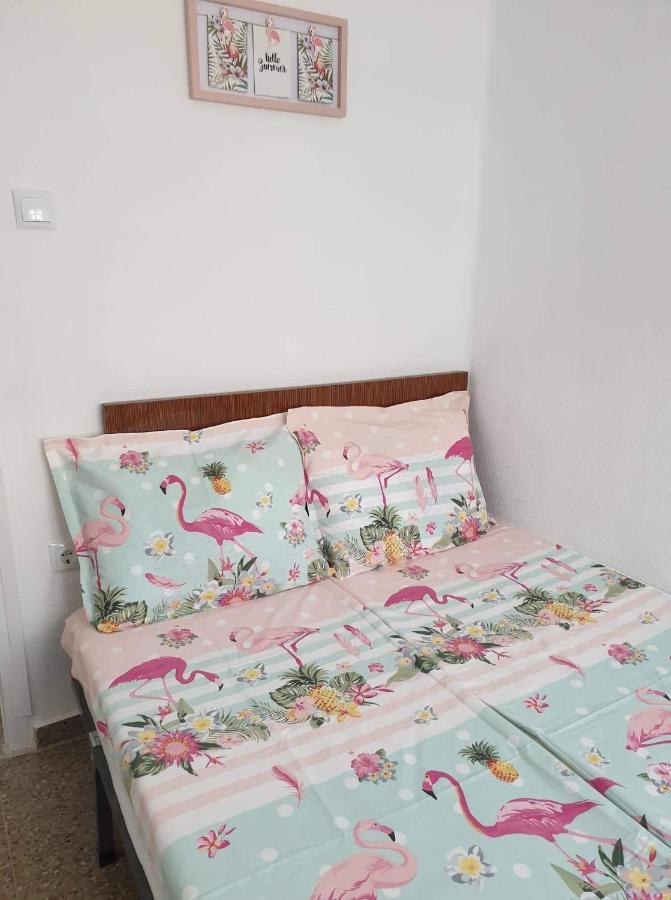 Sun & Sea 3 Bedroom Apartment De Grau غانديا المظهر الخارجي الصورة